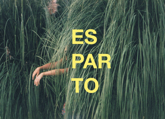 Esparto de Paula Botella